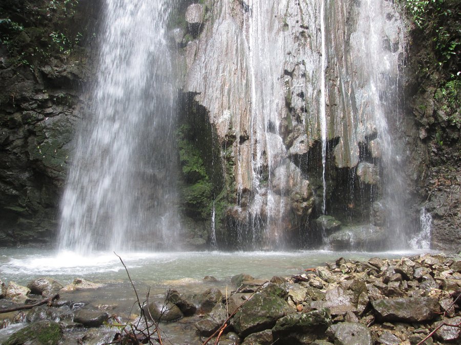 the-water-was-cool-but